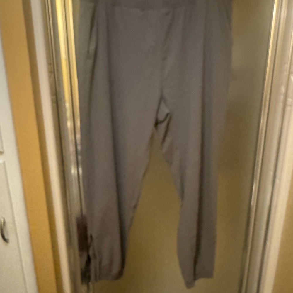 Public Rec Gray Pant, ankle taper w/zip; faux fly; slight stain@ front, see pic.